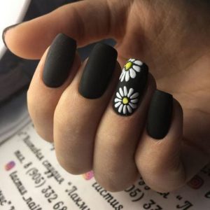 black sunflowers