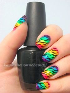 colorful zebra stripes