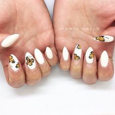 almond white butterflies