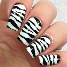 animal zebra pattern