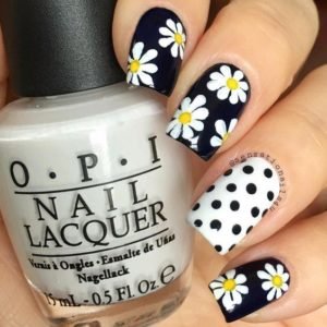 dots and daisies