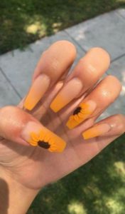 yellow sunflower ombre