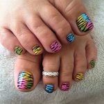 colorful zebra