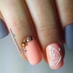 grey peach butterfly